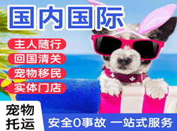 长春机场空运国际宠物托运 【国